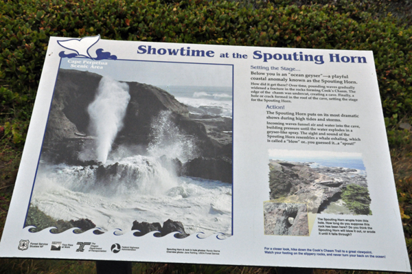 sign about the Spouting Horn at Caper Perpetua
